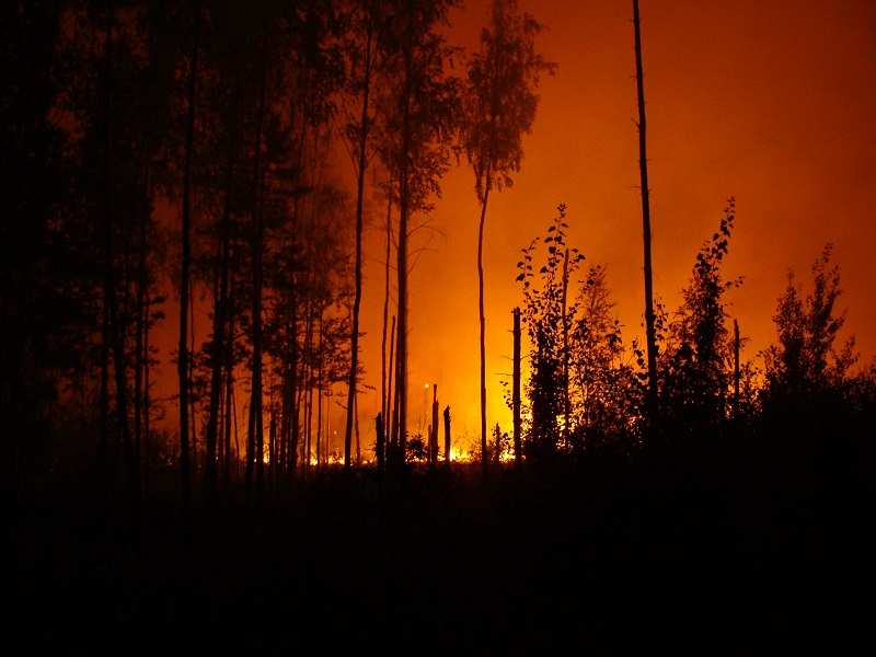 California Wildfires